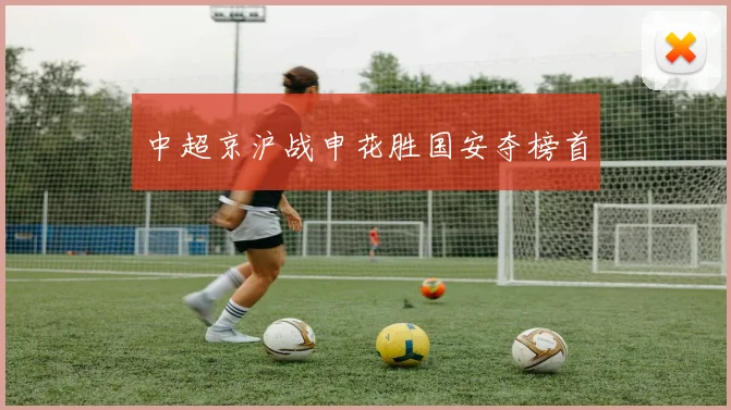 中超京沪战申花胜国安夺榜首
