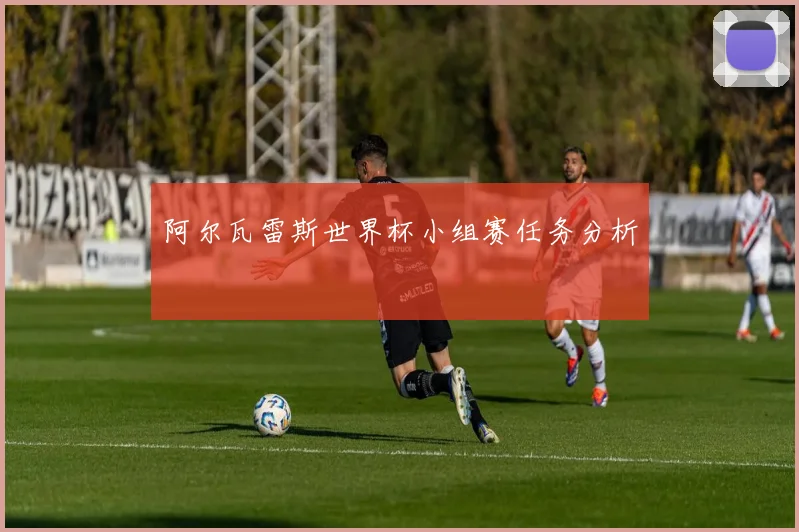 阿尔瓦雷斯世界杯小组赛任务分析