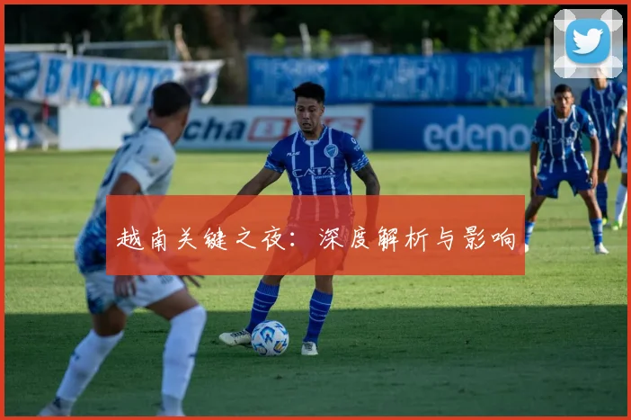 越南关键之夜：深度解析与影响