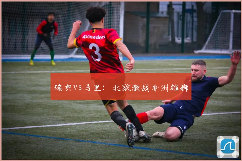 瑞典vs马里：北欧激战非洲雄狮