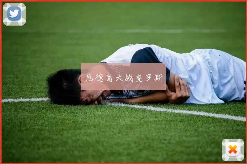 厄德高大战克罗斯