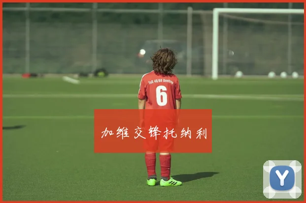 加维交锋托纳利