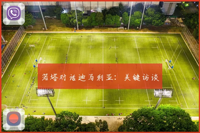 若塔对话迪马利亚：关键访谈
