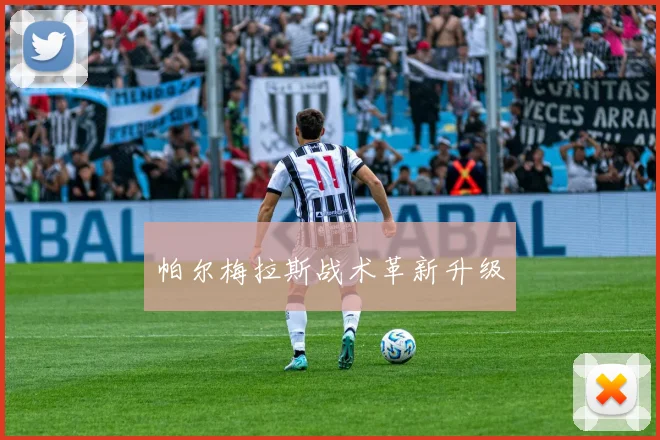 帕尔梅拉斯战术革新升级
