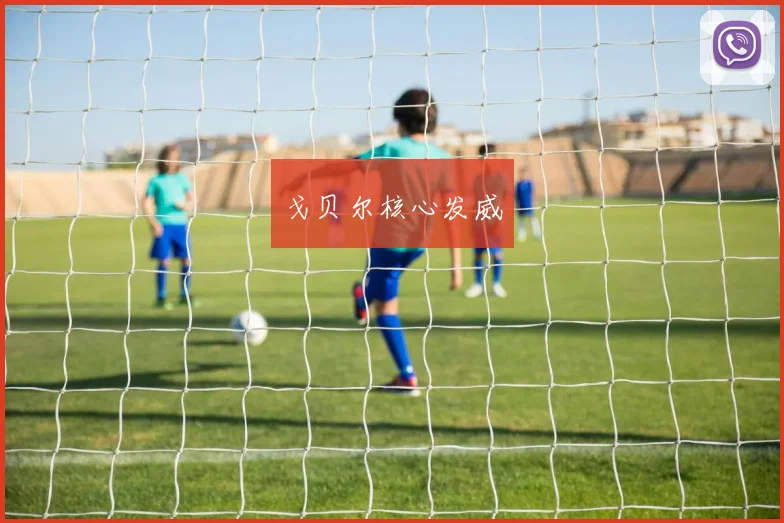戈贝尔核心发威