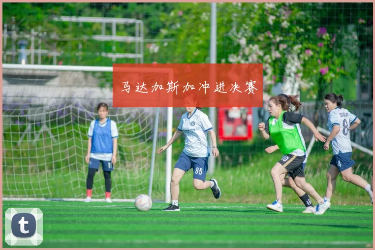 马达加斯加冲进决赛