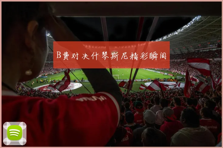 B费对决什琴斯尼精彩瞬间
