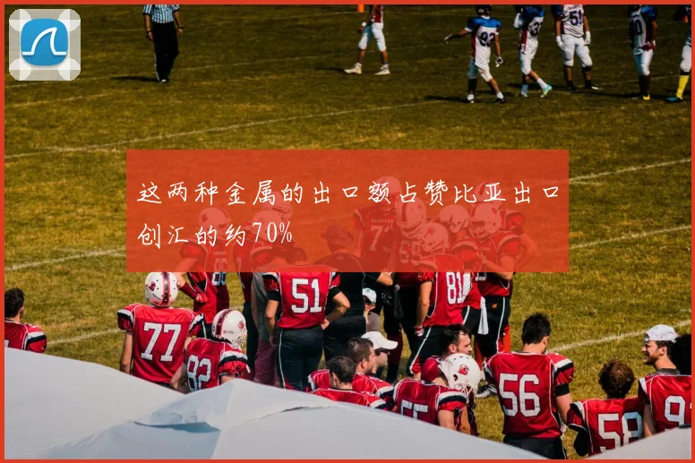 这两种金属的出口额占赞比亚出口创汇的约70%