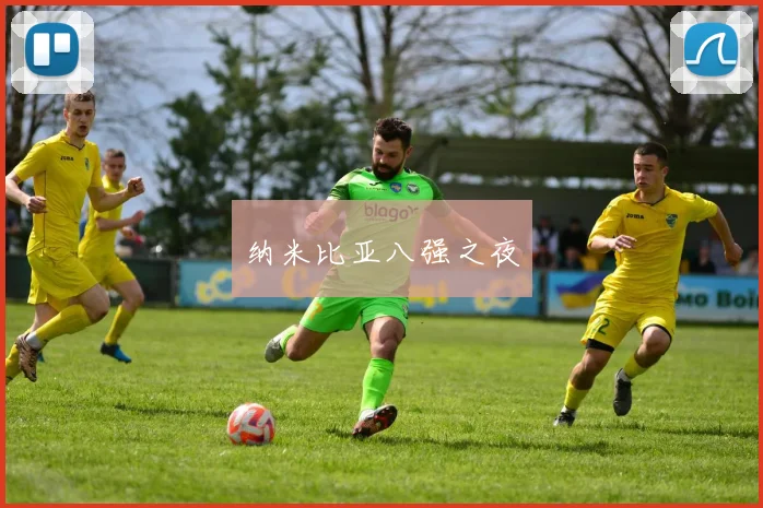 纳米比亚八强之夜