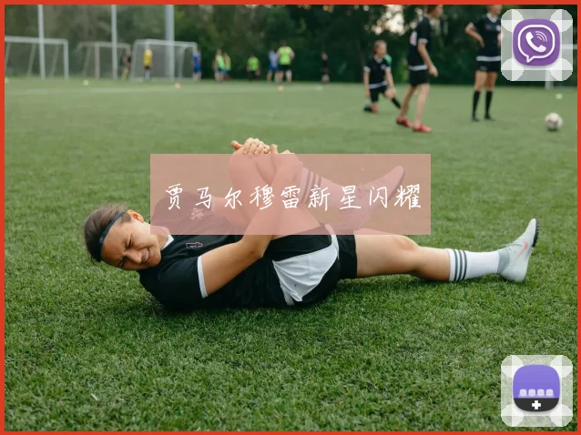 贾马尔穆雷新星闪耀