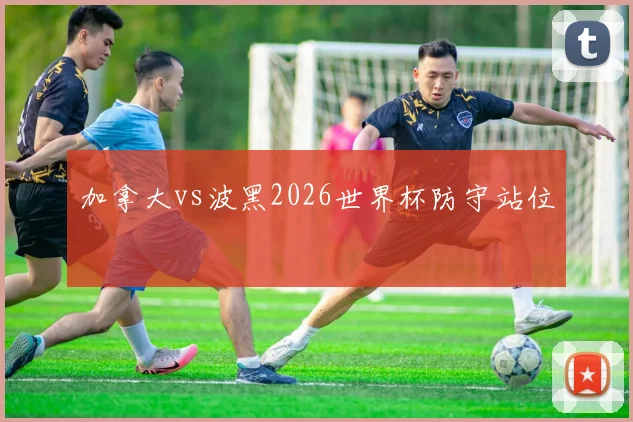 加拿大vs波黑2026世界杯防守站位