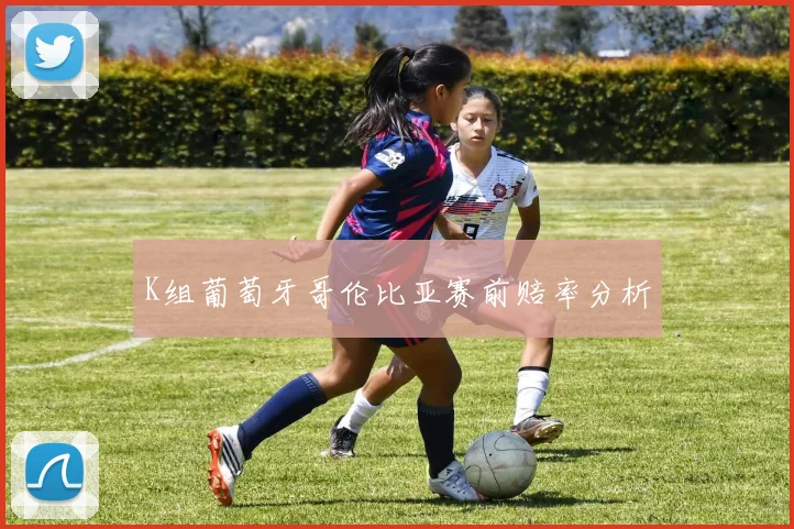 K组葡萄牙哥伦比亚赛前赔率分析