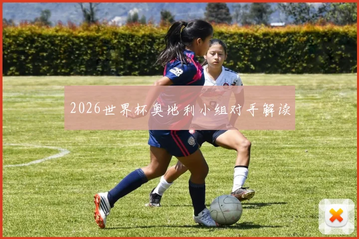 2026世界杯奥地利小组对手解读