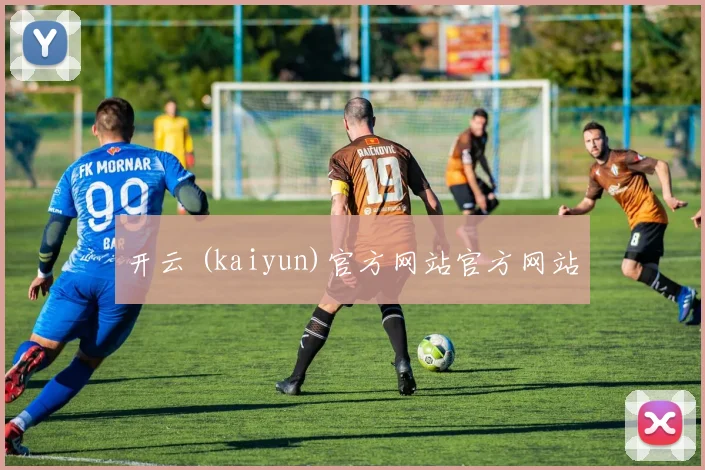 开云 (kaiyun)官方网站官方网站