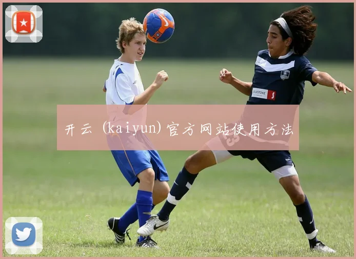 开云 (kaiyun)官方网站使用方法