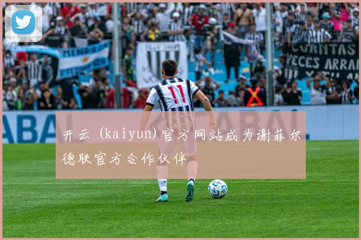 开云 (kaiyun)官方网站成为谢菲尔德联官方合作伙伴