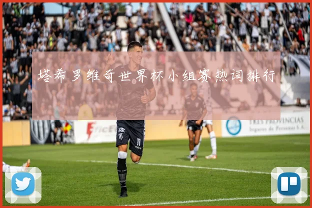 塔希罗维奇世界杯小组赛热词排行